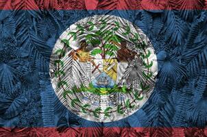 Belize flag depicted on many leafs of monstera palm trees. Trendy fashionable backdrop photo