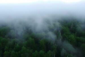 Misty foggy mountain landscape with fir forest and copyspace in vintage retro hipster style. Neural network AI generated photo