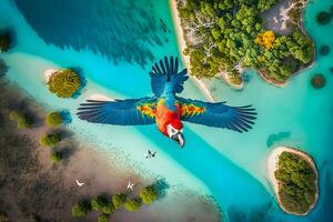 Parrot macaw flies over a tropical island. Neural network AI generated photo