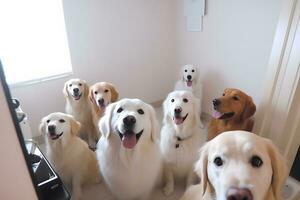 linda beagle mirando a el cámara mientras tomando un selfie con otro beagle y un doguillo. neural red ai generado foto