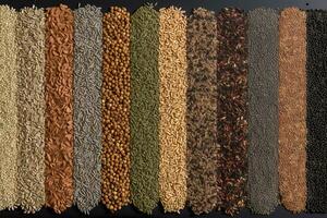 Many different types of herbs and spices. Neural network AI generated photo