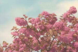 en primavera, el Cereza flores son en lleno floración. neural red ai generado foto