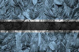 Botswana flag depicted on many leafs of monstera palm trees. Trendy fashionable backdrop photo