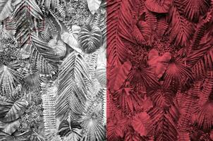 Malta flag depicted on many leafs of monstera palm trees. Trendy fashionable backdrop photo