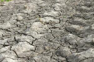 The ground has cracks in the top view for background photo