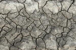 The ground has cracks in the top view for background photo