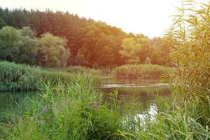 Sunny spring morning on meadow near river photo