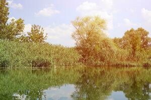 Sunny spring morning on meadow near river photo