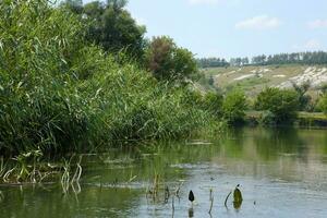 antiguas montañas de tiza multimillonarias en la superficie de la estepa de la tierra foto