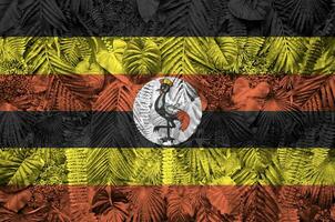 Uganda flag depicted on many leafs of monstera palm trees. Trendy fashionable backdrop photo