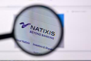 Homepage of natixis website on the display of PC, url - natixis.com. photo