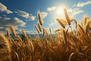 A golden wheat field, rice swaying in the wind, paramount light, Surrealism. AI generative photo