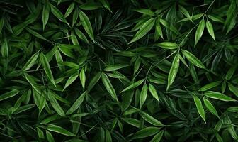 Forest bamboo background. Leaves green wallpaper. For banner postcard, book illustration. Created with generative AI tools photo