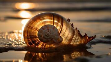Tyndall effect light rays through the large Nautilus shell, laying on the beach in the waves of the ocean, golden hour, bokeh effect. AI Generative photo