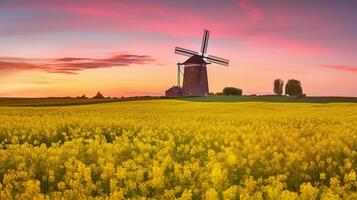 panorama con antes del amanecer hora con antiguo molino y colza campo con rosado nubes, generativo ai foto