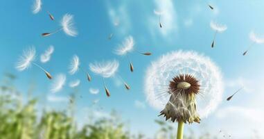 Beautiful puffy dandelions and flying seeds against blue sky on sunny day, Generative AI photo