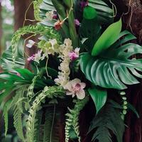 Dark green leaves monstera or split leaf philodendron. photo