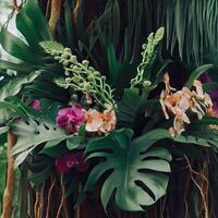 Dark green leaves monstera or split leaf philodendron. photo