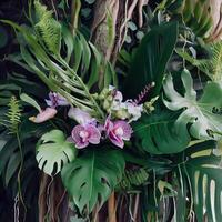Dark green leaves monstera or split leaf philodendron light and shadow background. photo