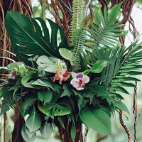 Dark green leaves monstera or split leaf philodendron light and shadow background. photo