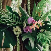 Dark green leaves monstera or split leaf philodendron light and shadow background. photo