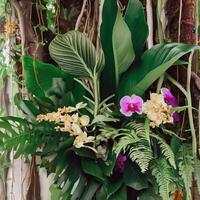 Dark green leaves monstera or split leaf philodendron light and shadow background. Generative AI photo