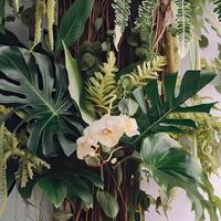 Dark green leaves monstera or split leaf philodendron light and shadow background. photo