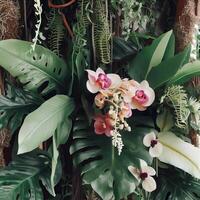 Dark green leaves monstera or split leaf philodendron light and shadow background. photo