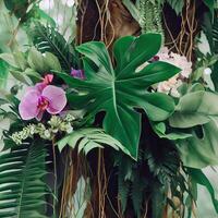 Dark green leaves monstera or split leaf philodendron light and shadow background. photo