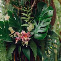 Dark green leaves monstera or split leaf philodendron light and shadow background. photo
