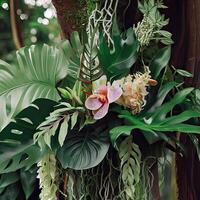 Dark green leaves monstera or split leaf philodendron light and shadow background. photo