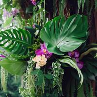 Dark green leaves monstera or split leaf philodendron light and shadow background. photo