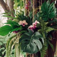 Dark green leaves monstera or split leaf philodendron light and shadow background. Generative AI photo