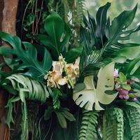 Dark green leaves monstera or split leaf philodendron light and shadow background. photo