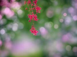 Abstract bokeh and blurred colorful nature background Generative AI photo