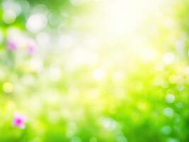 Shining defocused highlights in trees photo