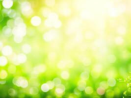 Shining defocused highlights in trees photo