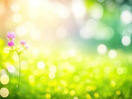 Shining defocused highlights in trees photo