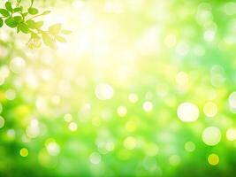 Shining defocused highlights in trees photo