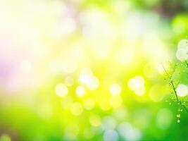 Shining defocused highlights in trees photo