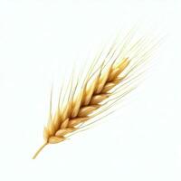 wheat spikelets isolated on white background. Top view wheat. Generative AI photo