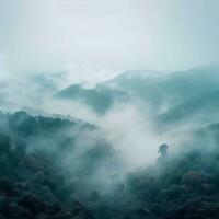 Fog over spruce forest trees in the early morning. Spruce trees silhouette on mountain hill forest in summer foggy scenery. Fog over the mountains Kanas morning fog. Generative AI photo