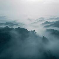 Fog over spruce forest trees in the early morning. Spruce trees silhouette on mountain hill forest in summer foggy scenery. Fog over the mountains Kanas morning fog. Generative AI photo
