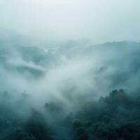 Fog over spruce forest trees in the early morning. Spruce trees silhouette on mountain hill forest in summer foggy scenery. Fog over the mountains Kanas morning fog. Generative AI photo