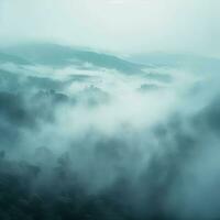 Fog over spruce forest trees in the early morning. Spruce trees silhouette on mountain hill forest in summer foggy scenery. Fog over the mountains Kanas morning fog. Generative AI photo