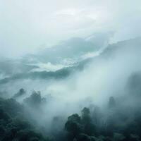 Fog over spruce forest trees in the early morning. Spruce trees silhouette on mountain hill forest in summer foggy scenery. Fog over the mountains Kanas morning fog. Generative AI photo