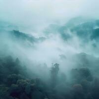 Fog over spruce forest trees in the early morning. Spruce trees silhouette on mountain hill forest in summer foggy scenery. Fog over the mountains Kanas morning fog. Generative AI photo