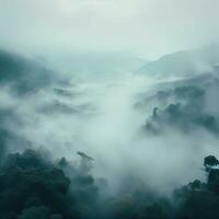 Fog over spruce forest trees in the early morning. Spruce trees silhouette on mountain hill forest in summer foggy scenery. Fog over the mountains Kanas morning fog. Generative AI photo