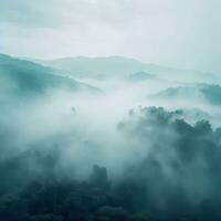 Fog over spruce forest trees in the early morning. Spruce trees silhouette on mountain hill forest in summer foggy scenery. Fog over the mountains Kanas morning fog. Generative AI photo