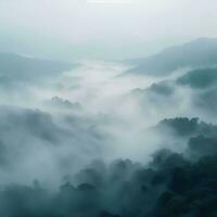 Fog over spruce forest trees in the early morning. Spruce trees silhouette on mountain hill forest in summer foggy scenery. Fog over the mountains Kanas morning fog. Generative AI photo